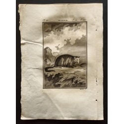 Gravure de 1799 - Le monak - 1