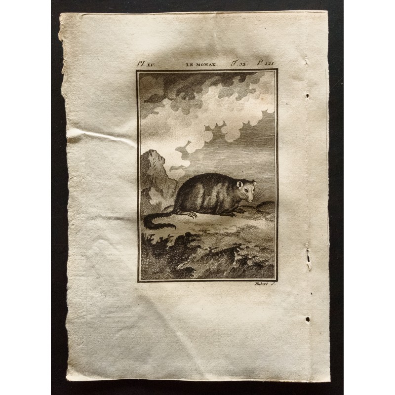 Gravure de 1799 - Le monak - 1
