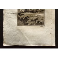 Gravure de 1799 - Le monak - 3