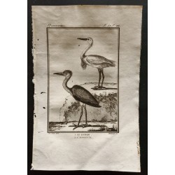 Gravure de 1801 - Le Héron, l'aigrette [Oiseaux] - 1