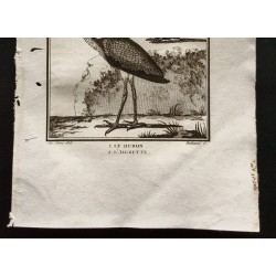 Gravure de 1801 - Le Héron, l'aigrette [Oiseaux] - 3