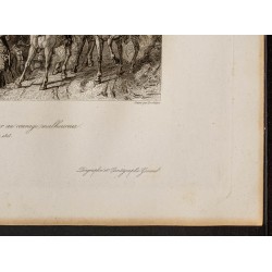 Gravure de 1841 - Napoléon rend honneur au courage malheureux - 5