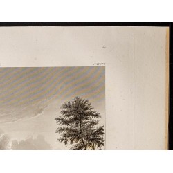 Gravure de 1841 - Bataille de Tann - 3