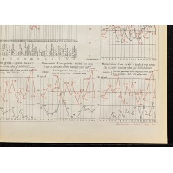 Gravure de 1884 - Mortalité typhoïde à Paris - 5