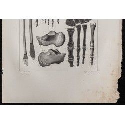 Gravure de 1864 - Pieds et os du péroné - 3