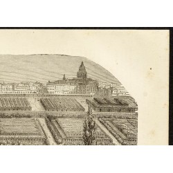 Gravure de 1882 - Halle au vin - 3