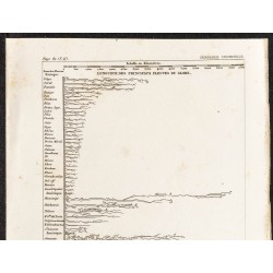 Gravure de 1862 - Longueur des principaux fleuves du globe - 2