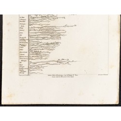 Gravure de 1862 - Longueur des principaux fleuves du globe - 3