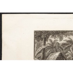 Gravure de 1862 - Îles Fidji - 2