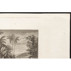 Gravure de 1862 - Îles Fidji - 3