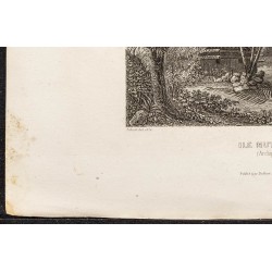 Gravure de 1862 - Îles Fidji - 4