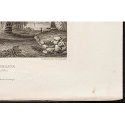 Gravure de 1862 - Îles Fidji - 5