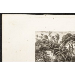 Gravure de 1862 - Scène de pêche en Bolivie - 2