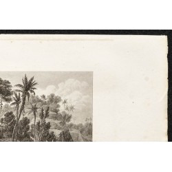 Gravure de 1862 - Scène de pêche en Bolivie - 3