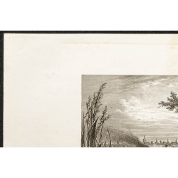 Gravure de 1862 - Vue de la ville de Saint-Louis - 2