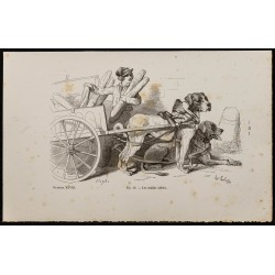Gravure de 1867 - Chiens mâtins attelés à un chariot - 1
