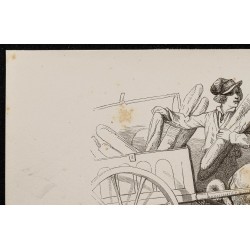 Gravure de 1867 - Chiens mâtins attelés à un chariot - 2