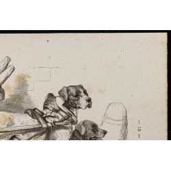 Gravure de 1867 - Chiens mâtins attelés à un chariot - 3
