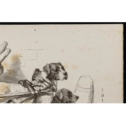 Gravure de 1867 - Chiens mâtins attelés à un chariot - 3