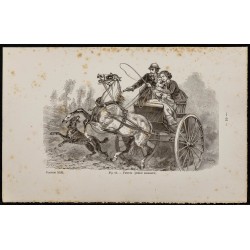 Gravure de 1867 - Chien de berger abattu - 1