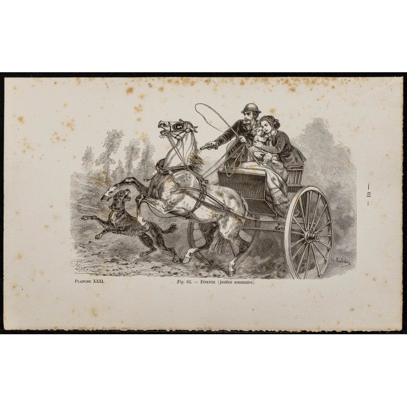 Gravure de 1867 - Chien de berger abattu - 1