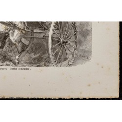 Gravure de 1867 - Chien de berger abattu - 5