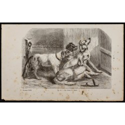 Gravure de 1867 - Chiens de chasse - 1