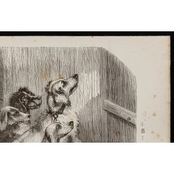 Gravure de 1867 - Chiens de chasse - 3