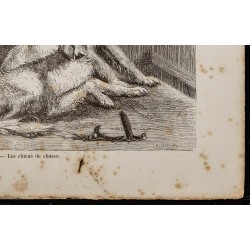 Gravure de 1867 - Chiens de chasse - 5