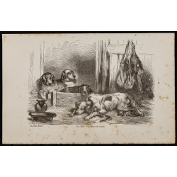 Gravure de 1867 - Chiens de chasse - 1