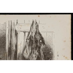 Gravure de 1867 - Chiens de chasse - 3