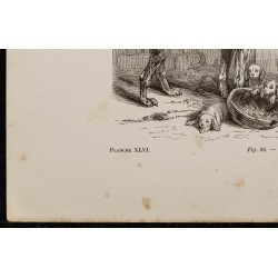 Gravure de 1867 - Chiens de Saint-Hubert - 4