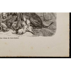 Gravure de 1867 - Chiens de Saint-Hubert - 5
