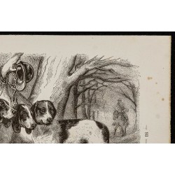 Gravure de 1867 - Chien anglo-poitevin & saintongeois - 3