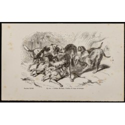 Gravure de 1867 - Chiens griffons - 1