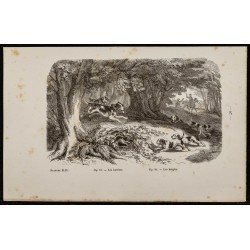 Gravure de 1867 - Chiens harriers & beagles - 1