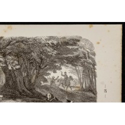 Gravure de 1867 - Chiens harriers & beagles - 3