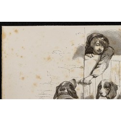 Gravure de 1867 - Chien basset et briquet - 2