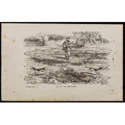 Gravure de 1867 - La quête du chien durant la chasse - 1
