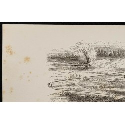 Gravure de 1867 - La quête du chien durant la chasse - 2