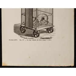 Gravure de 1867 - Château de Virelade & chien enragé - 3