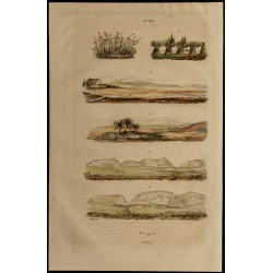 Gravure de 1839 - Plages - 1