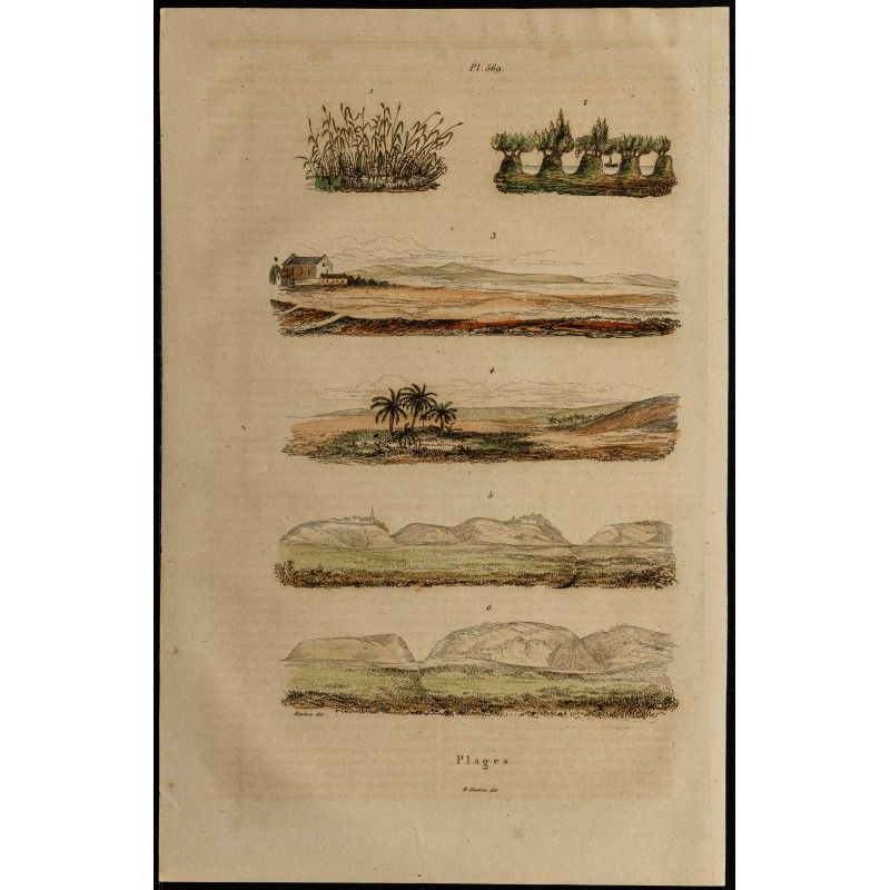 Gravure de 1839 - Plages - 1