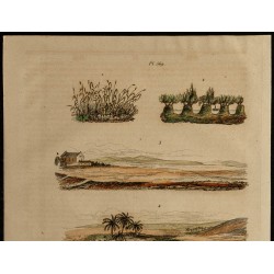 Gravure de 1839 - Plages - 2