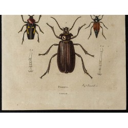 Gravure de 1839 - Vues de Priones - 3