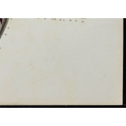 Gravure de 1866 - Aponévroses de l'aisselle - 5