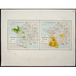 Gravure de 1873 - Culture du sarrasin et du maïs - 1