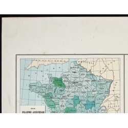 Gravure de 1873 - Prairies naturelles & artificielles - 2