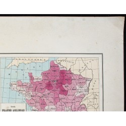 Gravure de 1873 - Prairies naturelles & artificielles - 3