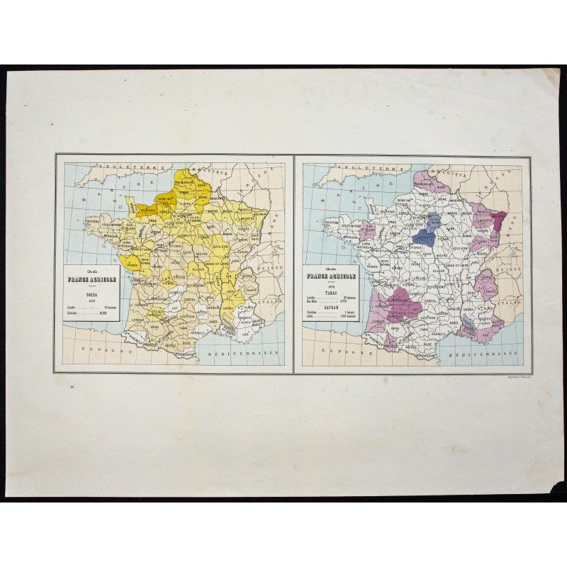 Gravure de 1873 - Culture du colza, du tabac et du safran - 1